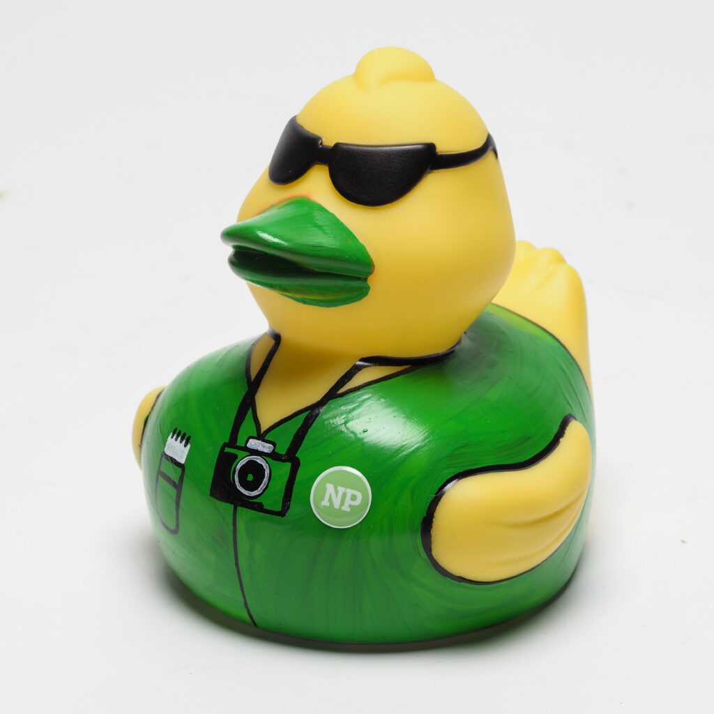 NP-Ente